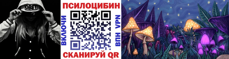 где купить наркоту  Цоци-Юрт  Галлюциногенные грибы Cubensis 