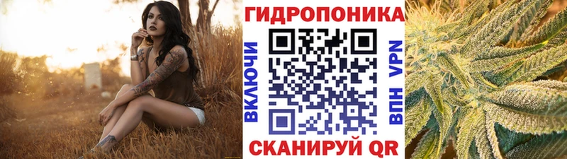 купить закладку  Цоци-Юрт  kraken сайт  Канабис семена 